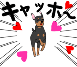 MINIATURE PINSCHER AYA sticker #13245779