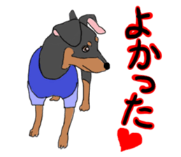 MINIATURE PINSCHER AYA sticker #13245780