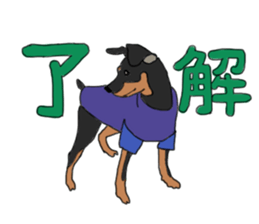 MINIATURE PINSCHER AYA sticker #13245781