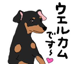 MINIATURE PINSCHER AYA sticker #13245782