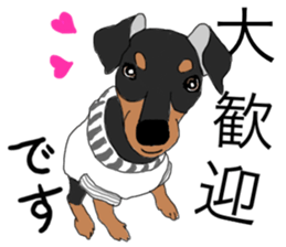MINIATURE PINSCHER AYA sticker #13245785