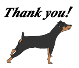 MINIATURE PINSCHER AYA sticker #13245786