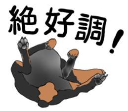 MINIATURE PINSCHER AYA sticker #13245788