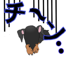 MINIATURE PINSCHER AYA sticker #13245789