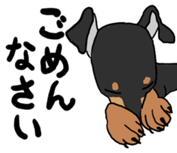 MINIATURE PINSCHER AYA sticker #13245791