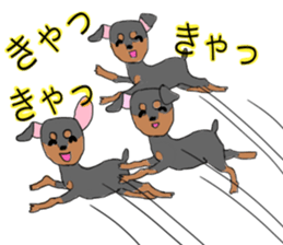 MINIATURE PINSCHER AYA sticker #13245792