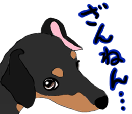 MINIATURE PINSCHER AYA sticker #13245796