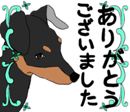 MINIATURE PINSCHER AYA sticker #13245797