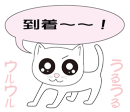 Uru Uru hitomi Neko sticker #13246529