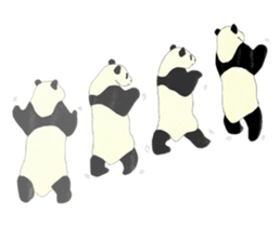 Secret of panda sticker #13246886