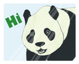 Secret of panda sticker #13246889