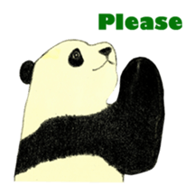 Secret of panda sticker #13246896