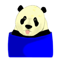 Secret of panda sticker #13246898