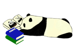 Secret of panda sticker #13246908