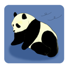 Secret of panda sticker #13246909