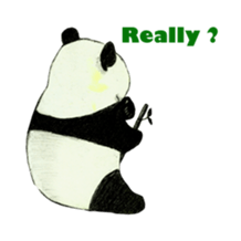 Secret of panda sticker #13246914