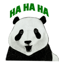 Secret of panda sticker #13246916
