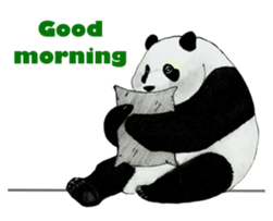 Secret of panda sticker #13246919