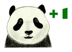 Secret of panda sticker #13246920