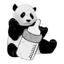 Secret of panda sticker #13246924