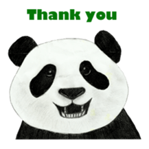 Secret of panda sticker #13246925