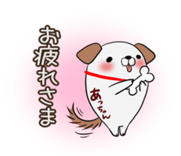 Acchan's exclusive sticker sticker #13249235