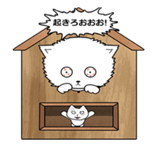 No brake cat animation sticker #13250596