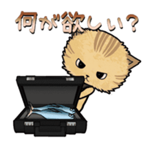 No brake cat animation sticker #13250606