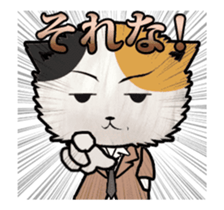 No brake cat animation sticker #13250612