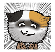 No brake cat animation sticker #13250613