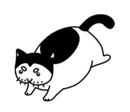 Panda The Cat sticker #13250749