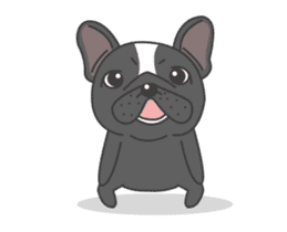 Raven the French Bulldog Animated sticker #13250992
