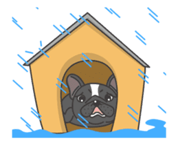 Raven the French Bulldog Animated sticker #13251001