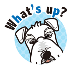 iinu - Sealyham Terrier sticker #13251779