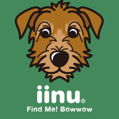 iinu - Deerhound