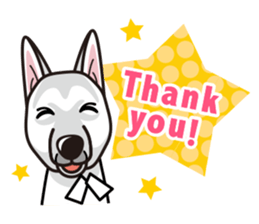 iinu - White Swiss Shepherd Dog sticker #13252232