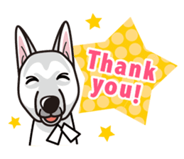 iinu - White Swiss Shepherd Dog sticker #13252232