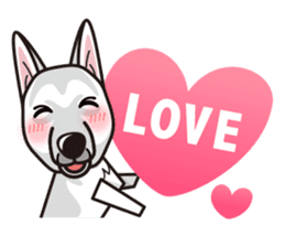 iinu - White Swiss Shepherd Dog sticker #13252234