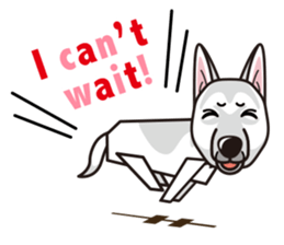 iinu - White Swiss Shepherd Dog sticker #13252237