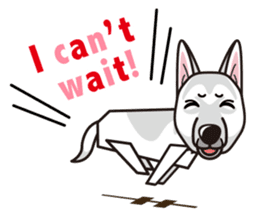 iinu - White Swiss Shepherd Dog sticker #13252237