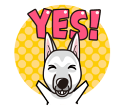 iinu - White Swiss Shepherd Dog sticker #13252238