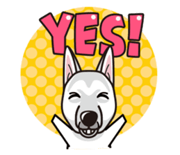 iinu - White Swiss Shepherd Dog sticker #13252238