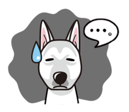 iinu - White Swiss Shepherd Dog sticker #13252240