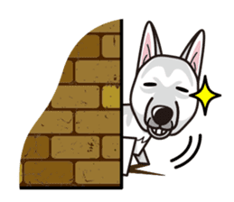 iinu - White Swiss Shepherd Dog sticker #13252241