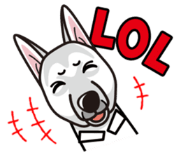 iinu - White Swiss Shepherd Dog sticker #13252242