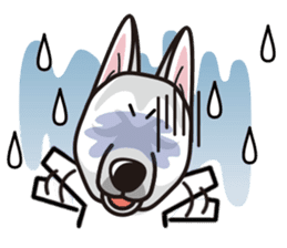 iinu - White Swiss Shepherd Dog sticker #13252243