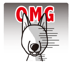 iinu - White Swiss Shepherd Dog sticker #13252245