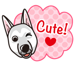 iinu - White Swiss Shepherd Dog sticker #13252248