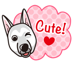 iinu - White Swiss Shepherd Dog sticker #13252248