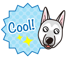 iinu - White Swiss Shepherd Dog sticker #13252249